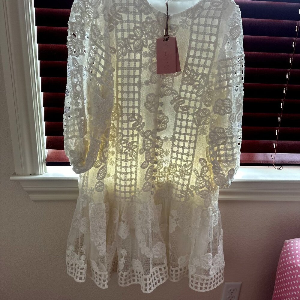 Alexis Embroidered lace mini dress